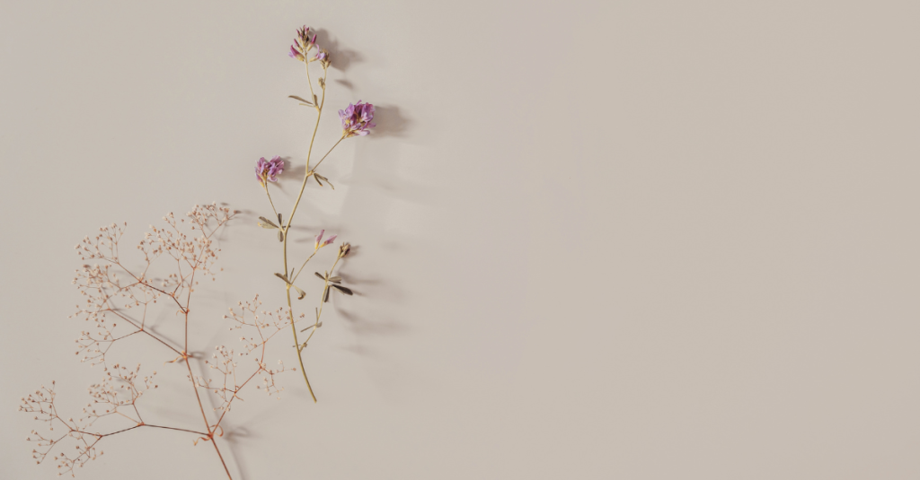 still becoming, flowers in spring