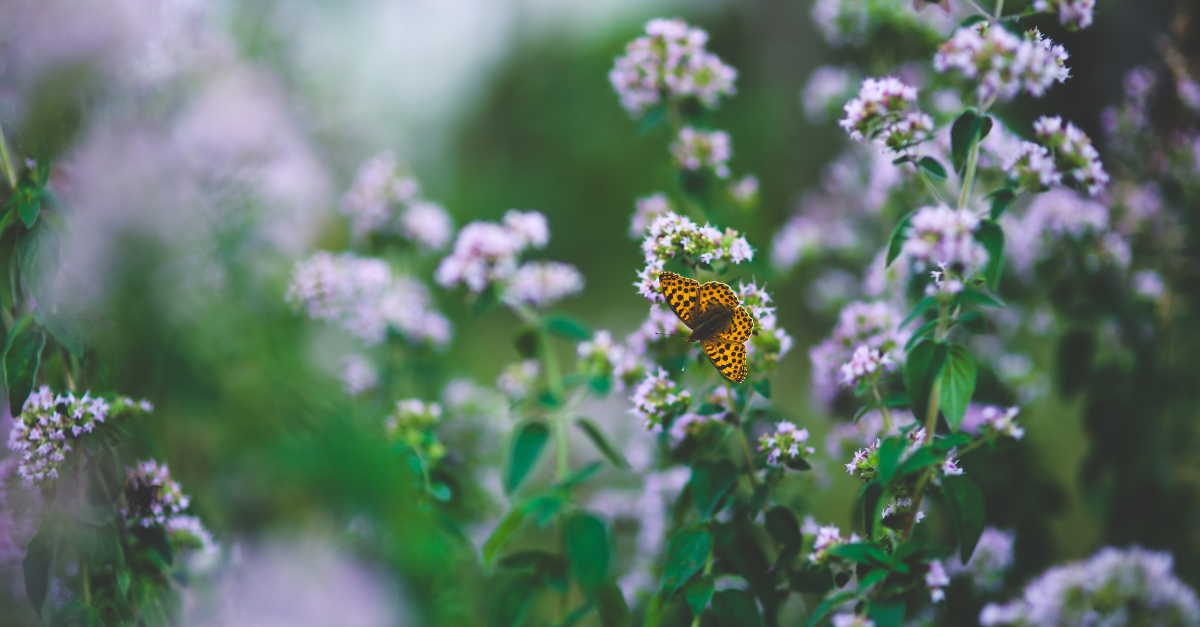 Series 1.3 Grief Has a Way of Waiting