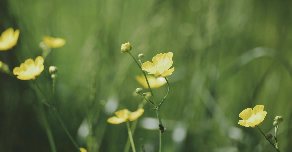 Series 1.1 Returning to Myself