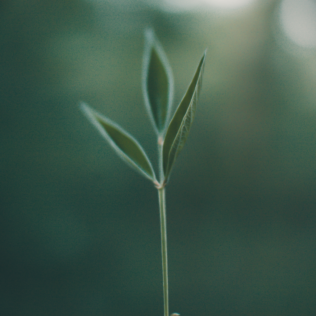 From Survival to Safety