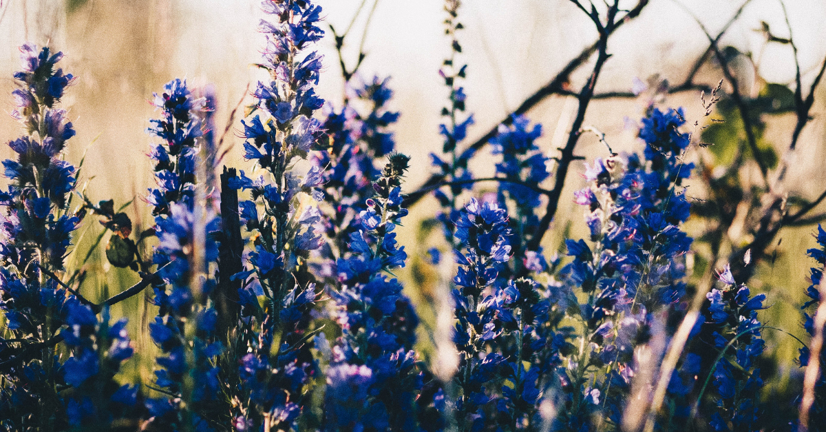 Series 1.8 The Day I Stopped